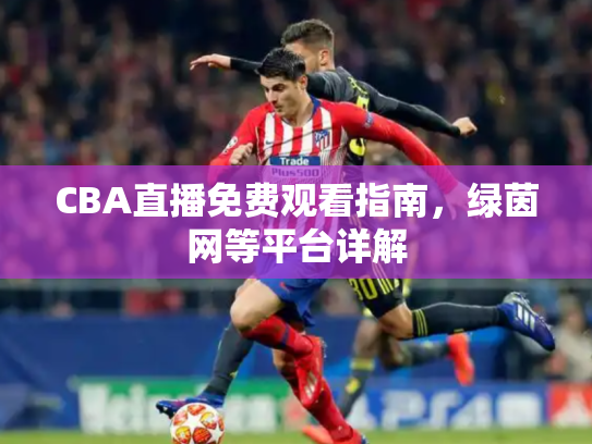 CBA直播免费观看指南，绿茵网等平台详解