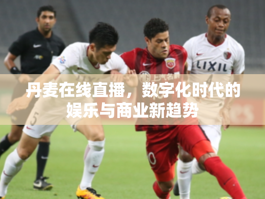 丹麦在线直播，数字化时代的娱乐与商业新趋势