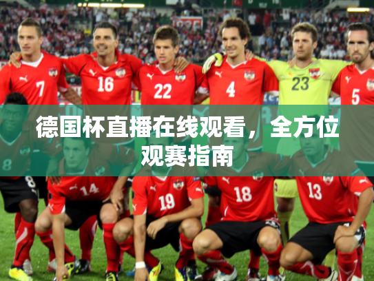 德国杯直播在线观看，全方位观赛指南