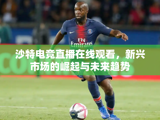 沙特电竞直播在线观看，新兴市场的崛起与未来趋势