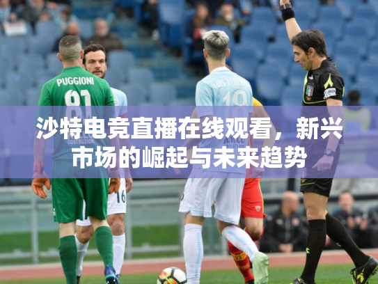沙特电竞直播在线观看，新兴市场的崛起与未来趋势