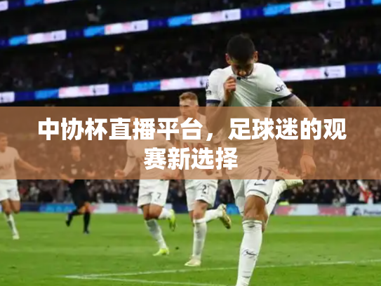 中协杯直播平台，足球迷的观赛新选择