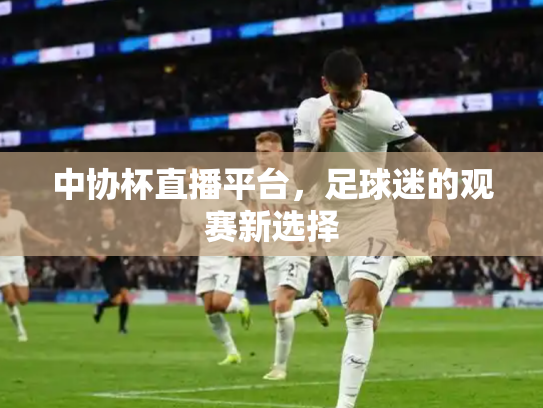 中协杯直播平台，足球迷的观赛新选择