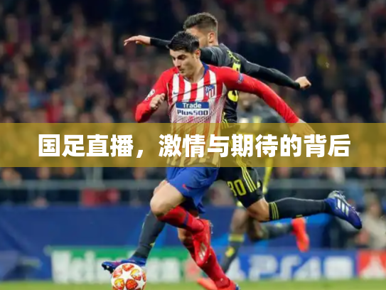国足直播，激情与期待的背后