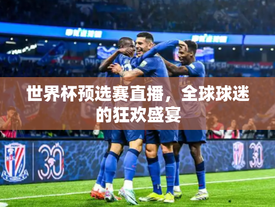 世界杯预选赛直播，全球球迷的狂欢盛宴