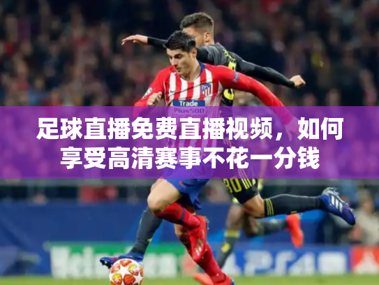 足球直播免费直播视频，如何享受高清赛事不花一分钱