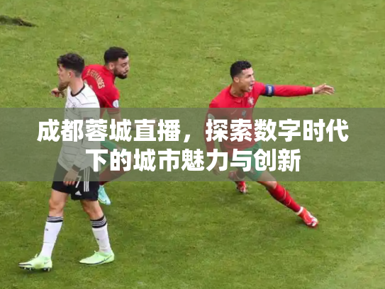 成都蓉城直播，探索数字时代下的城市魅力与创新