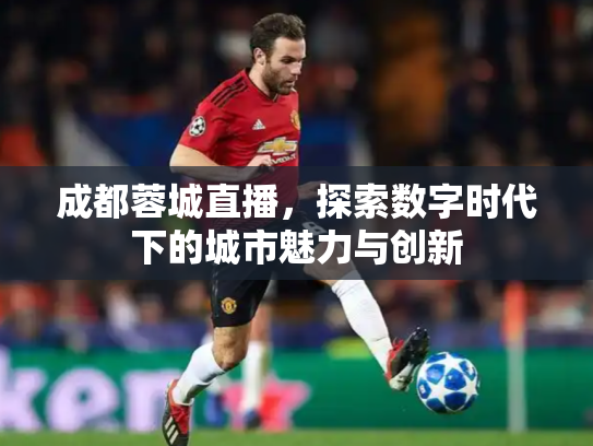 成都蓉城直播，探索数字时代下的城市魅力与创新