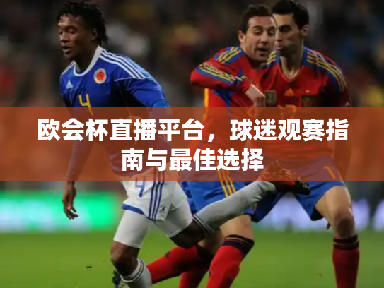 欧会杯直播平台，球迷观赛指南与最佳选择