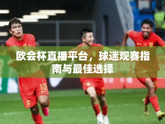 欧会杯直播平台，球迷观赛指南与最佳选择