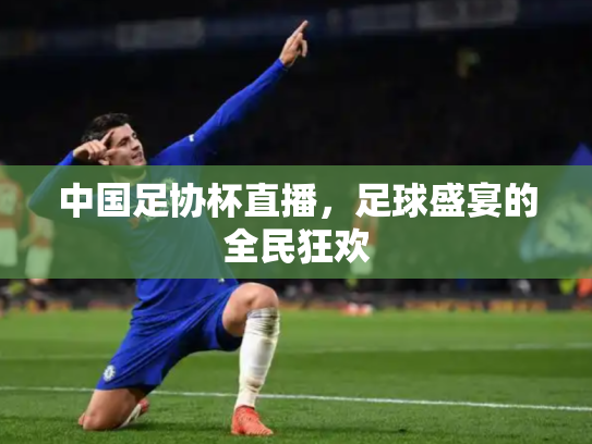 中国足协杯直播，足球盛宴的全民狂欢
