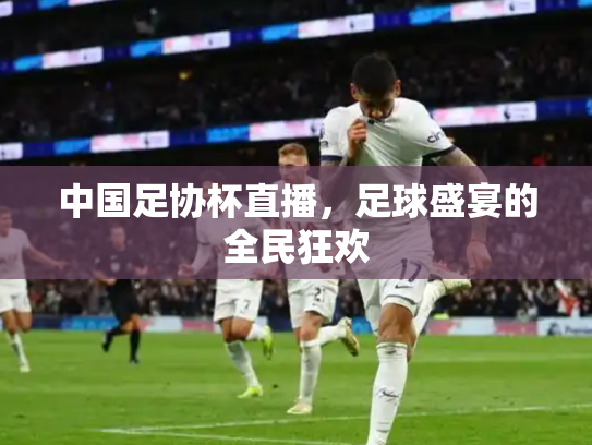 中国足协杯直播，足球盛宴的全民狂欢