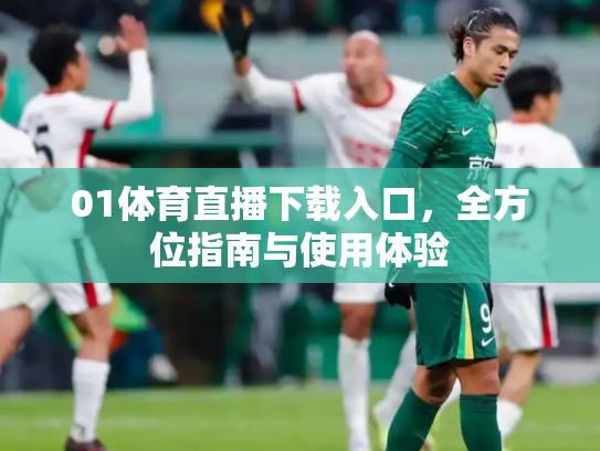 01体育直播下载入口，全方位指南与使用体验