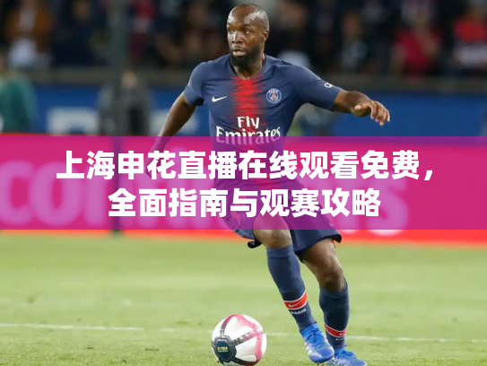 上海申花直播在线观看免费，全面指南与观赛攻略