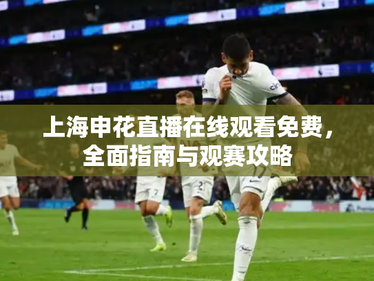 上海申花直播在线观看免费，全面指南与观赛攻略