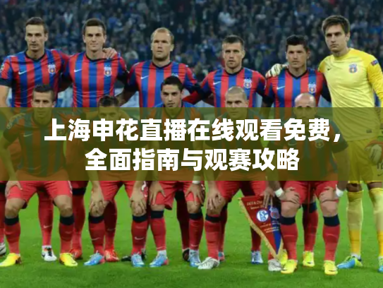 上海申花直播在线观看免费，全面指南与观赛攻略