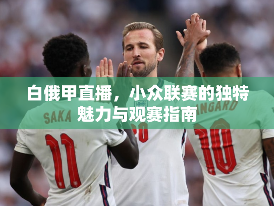 白俄甲直播，小众联赛的独特魅力与观赛指南