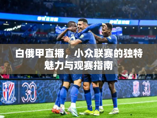 白俄甲直播，小众联赛的独特魅力与观赛指南