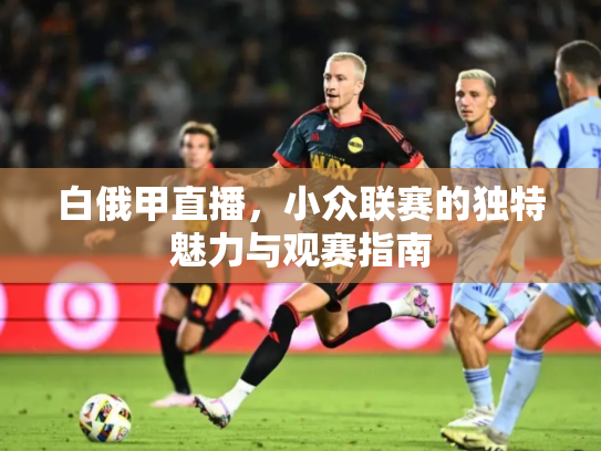 白俄甲直播，小众联赛的独特魅力与观赛指南