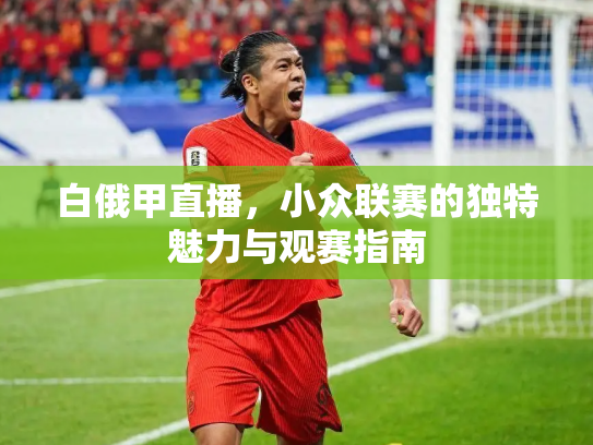 白俄甲直播，小众联赛的独特魅力与观赛指南