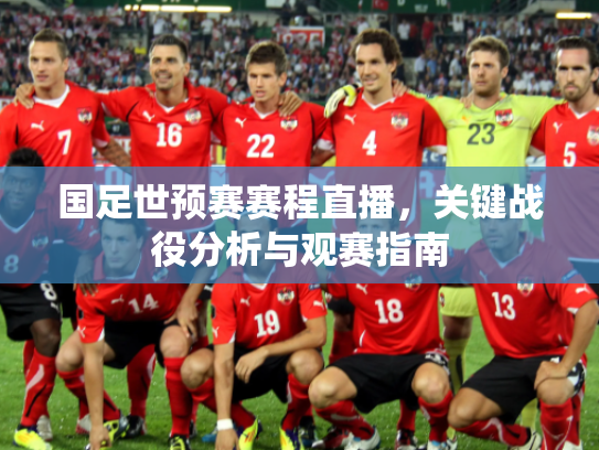 国足世预赛赛程直播，关键战役分析与观赛指南
