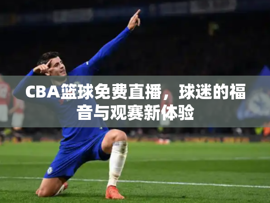 CBA篮球免费直播，球迷的福音与观赛新体验