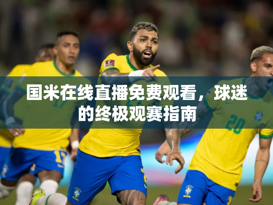 国米在线直播免费观看，球迷的终极观赛指南