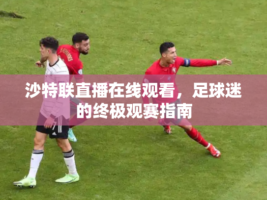 沙特联直播在线观看，足球迷的终极观赛指南
