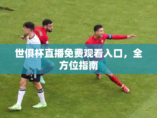 世俱杯直播免费观看入口，全方位指南