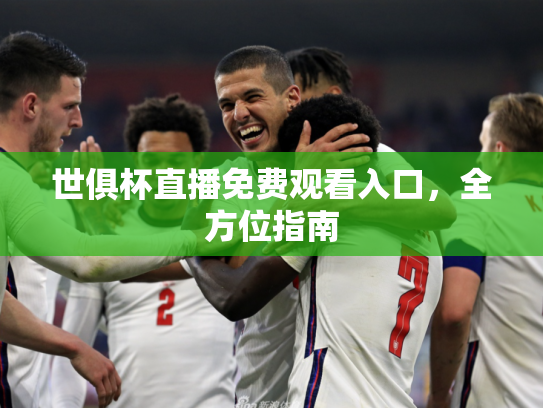 世俱杯直播免费观看入口，全方位指南
