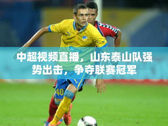 中超视频直播，山东泰山队强势出击，争夺联赛冠军