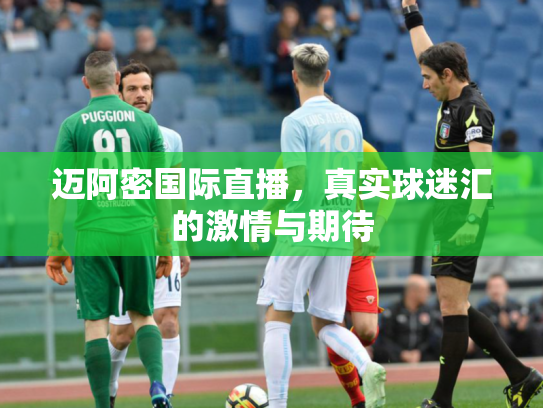 迈阿密国际直播，真实球迷汇的激情与期待