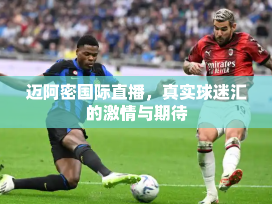 迈阿密国际直播，真实球迷汇的激情与期待