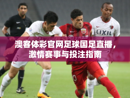 澳客体彩官网足球国足直播，激情赛事与投注指南