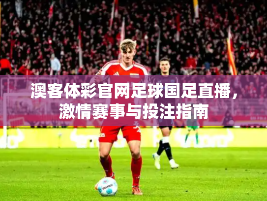 澳客体彩官网足球国足直播，激情赛事与投注指南