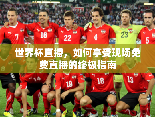 世界杯直播，如何享受现场免费直播的终极指南