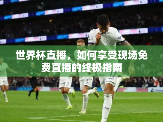 世界杯直播，如何享受现场免费直播的终极指南