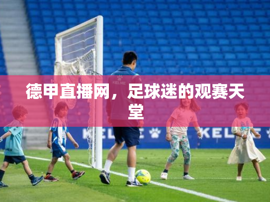德甲直播网，足球迷的观赛天堂