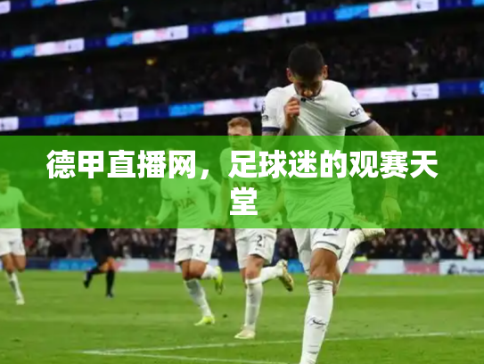 德甲直播网，足球迷的观赛天堂