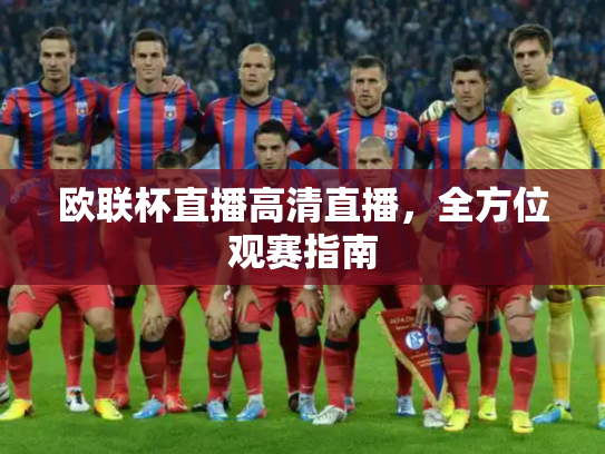 欧联杯直播高清直播，全方位观赛指南