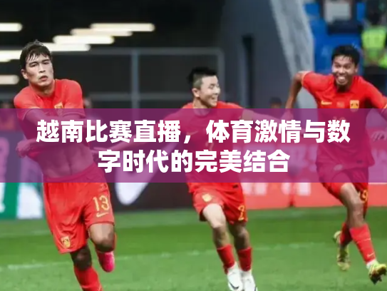 越南比赛直播，体育激情与数字时代的完美结合