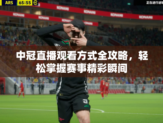 中冠直播观看方式全攻略，轻松掌握赛事精彩瞬间