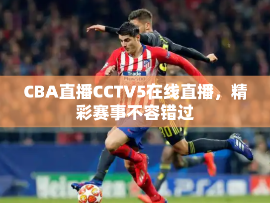 CBA直播CCTV5在线直播，精彩赛事不容错过