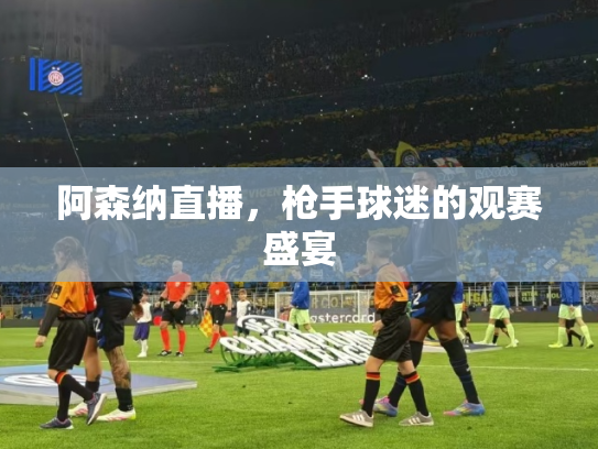 阿森纳直播，枪手球迷的观赛盛宴