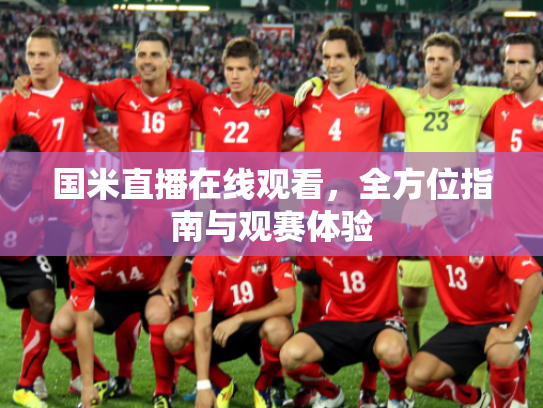 国米直播在线观看，全方位指南与观赛体验