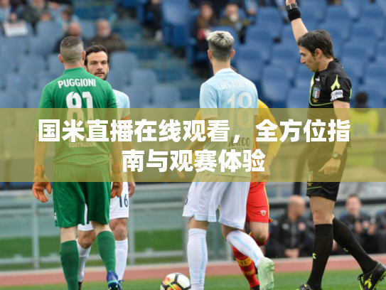 国米直播在线观看，全方位指南与观赛体验