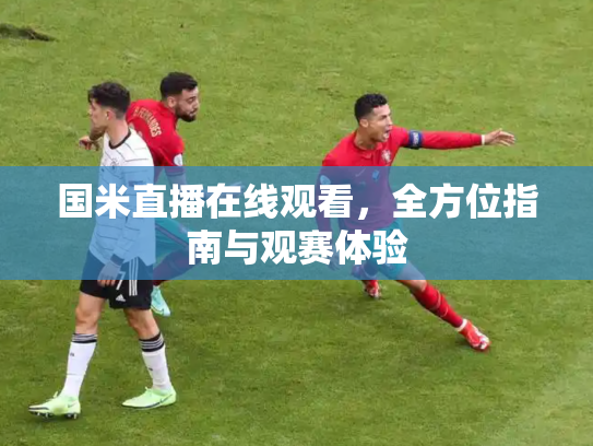 国米直播在线观看，全方位指南与观赛体验