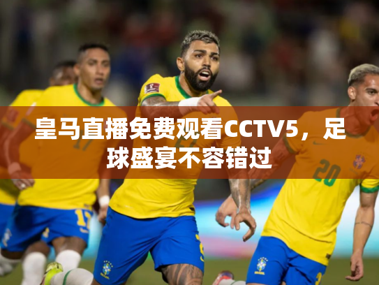 皇马直播免费观看CCTV5，足球盛宴不容错过