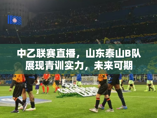 中乙联赛直播，山东泰山B队展现青训实力，未来可期