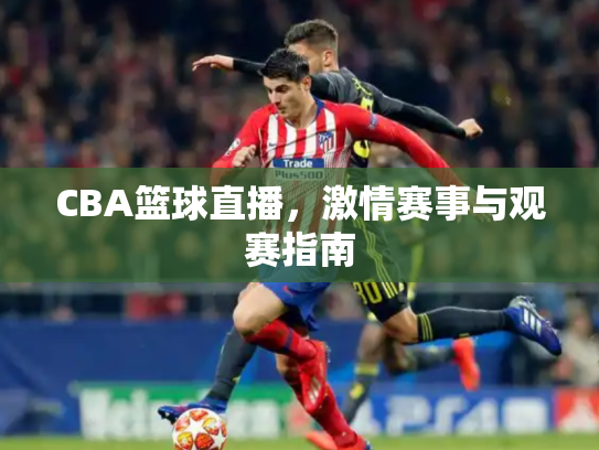 CBA篮球直播，激情赛事与观赛指南
